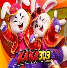 kaka303 biwin