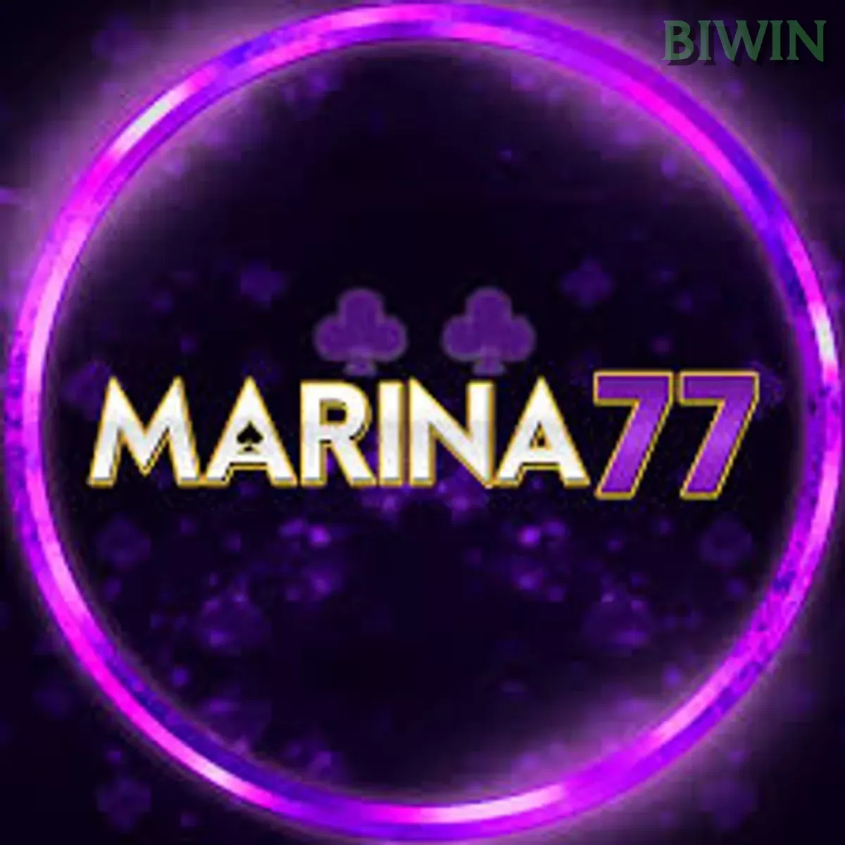 MARINA77 dan biwin: Rangkuman Brand yang Banyak Dicari